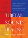 Cover image for Tibetan Sound Healing